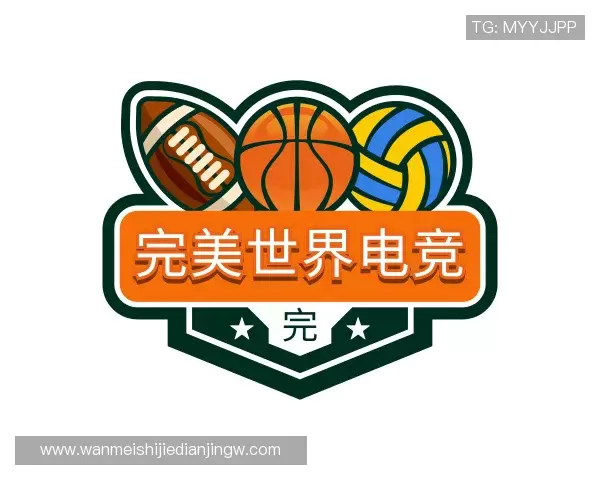 发现完美电竞